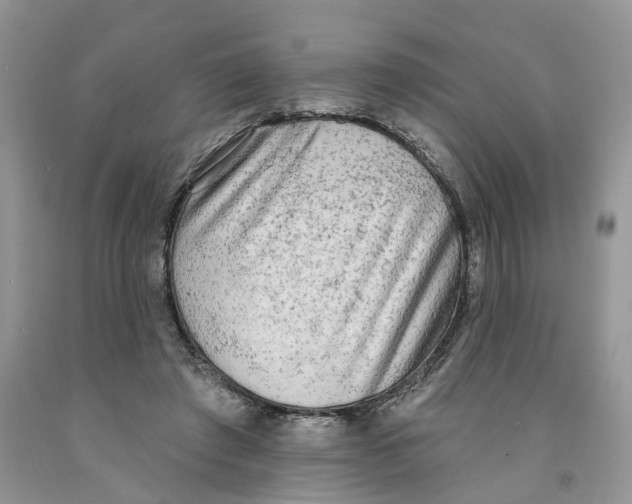 X0000091290401200709071036