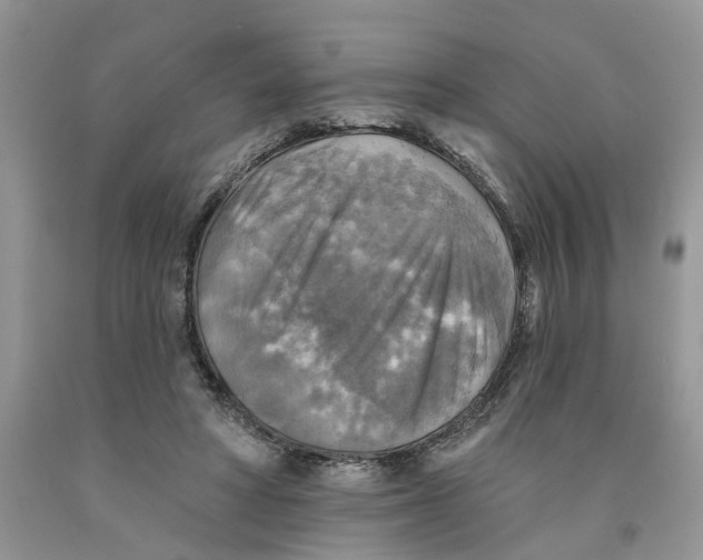 X0000091290402200709071036