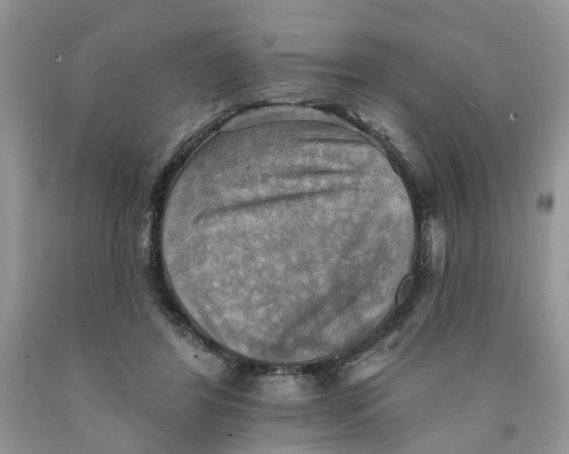 X0000091290404200709071036