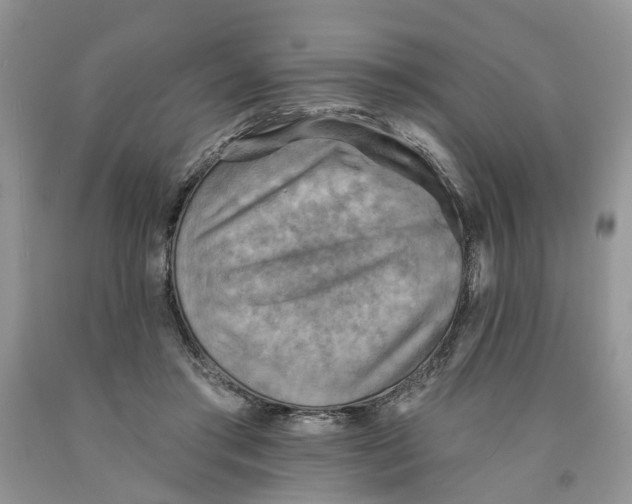 X0000091290405200709071036