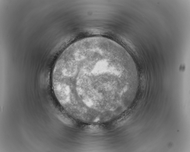 X0000091290406200709071036