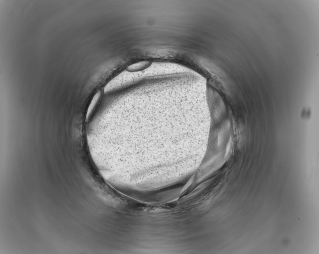 X0000091290407200709071036