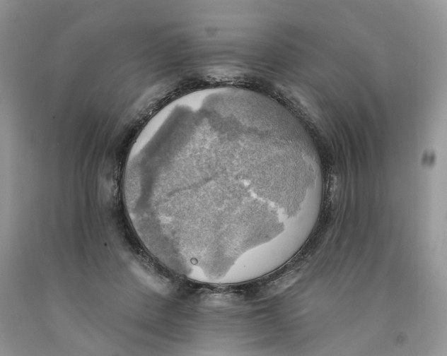 X0000091290408200709071036