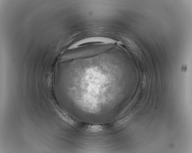 X0000091290409200709071036