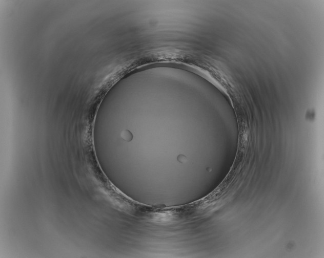 X0000091290411200709071036