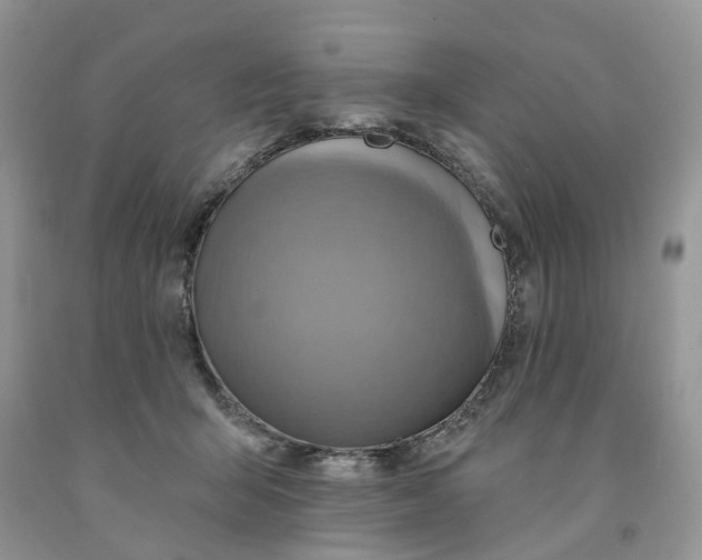 X0000091290415200709071036