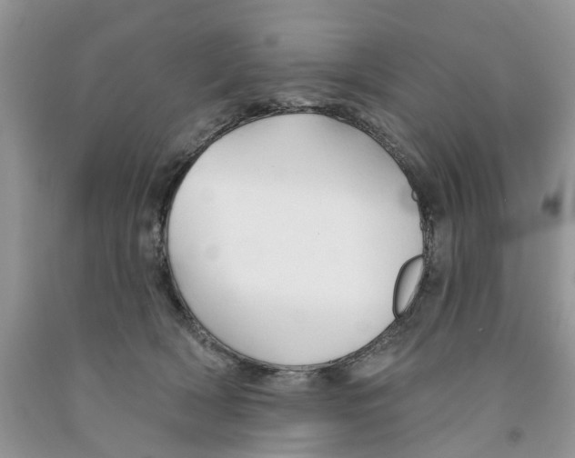 X0000091290418200709071036