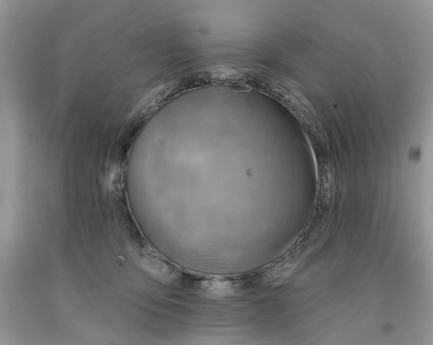 X0000091290419200709071036