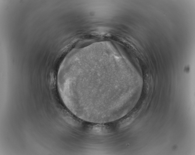 X0000091290420200709071036