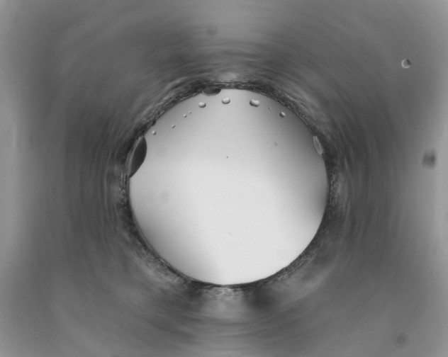 X0000091290421200709071036