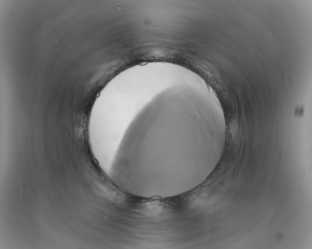 X0000091290423200709071036