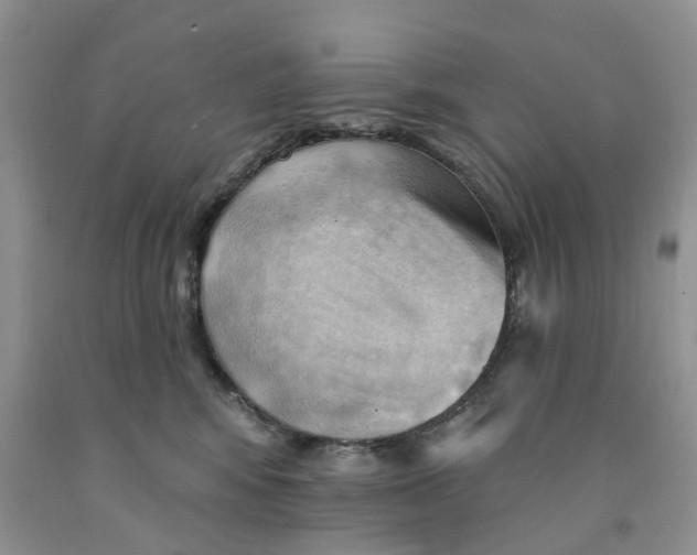 X0000091290424200709071036