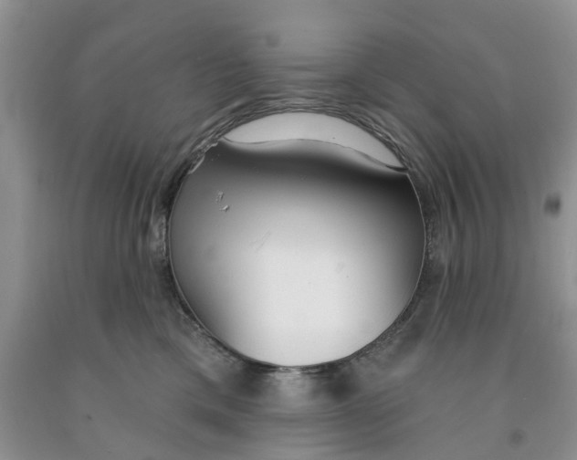 X0000091290425200709071036