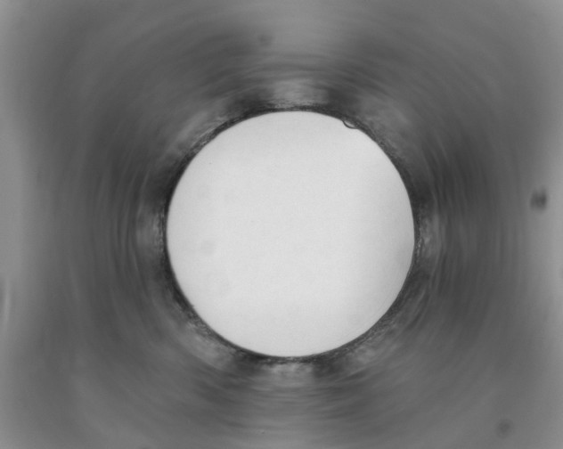 X0000091290426200709071036