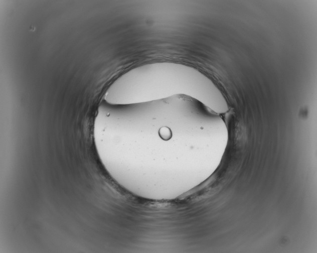 X0000091290428200709071036