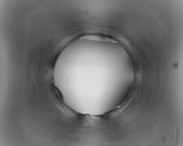 X0000091290429200709071036