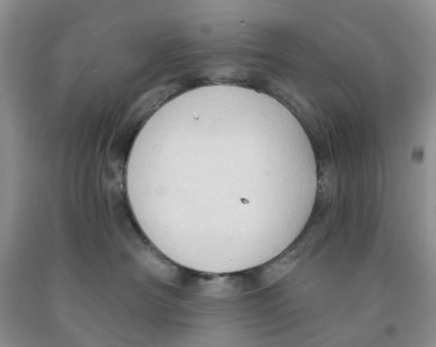 X0000091290430200709071036