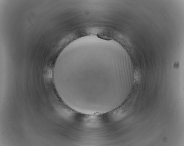 X0000091290431200709071036