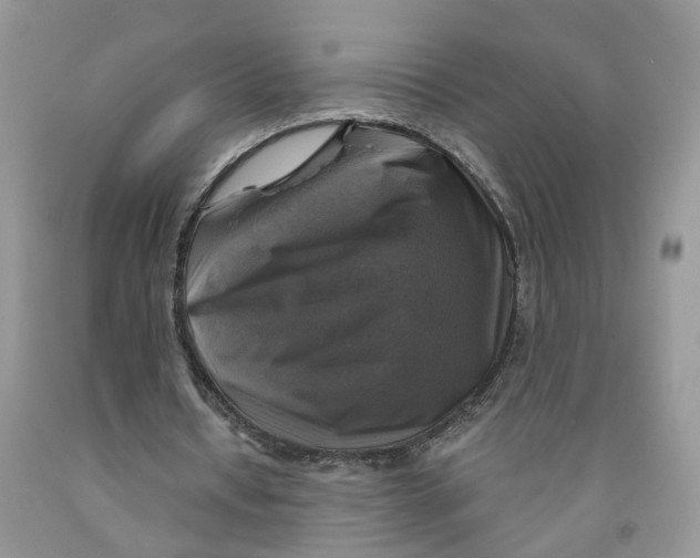 X0000091290434200709071035