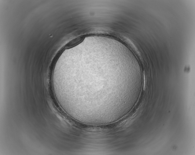 X0000091290435200709071035