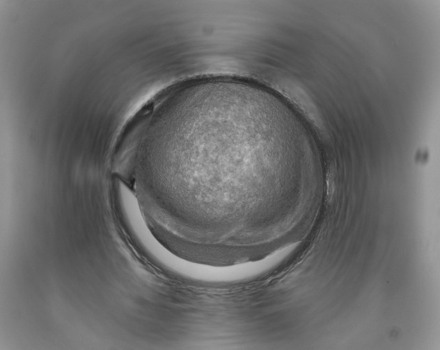 X0000091290436200709071035