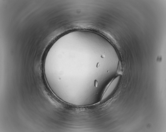 X0000091290439200709071035