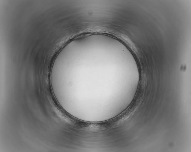 X0000091290441200709071035