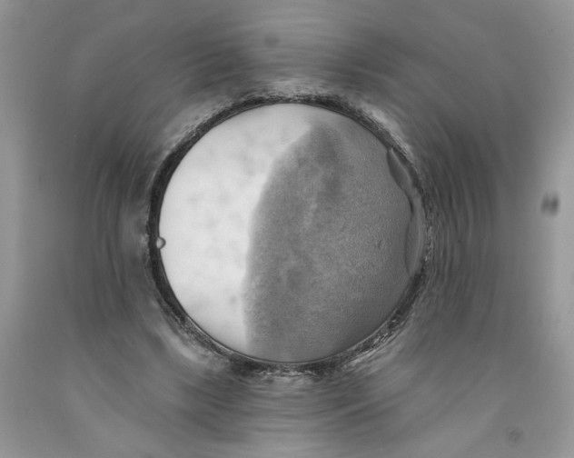 X0000091290443200709071035