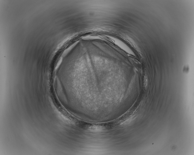 X0000091290444200709071035