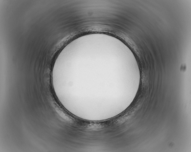 X0000091290445200709071035