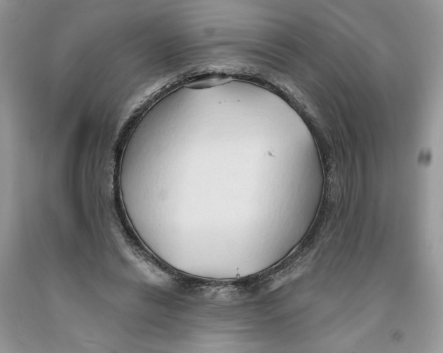 X0000091290446200709071035