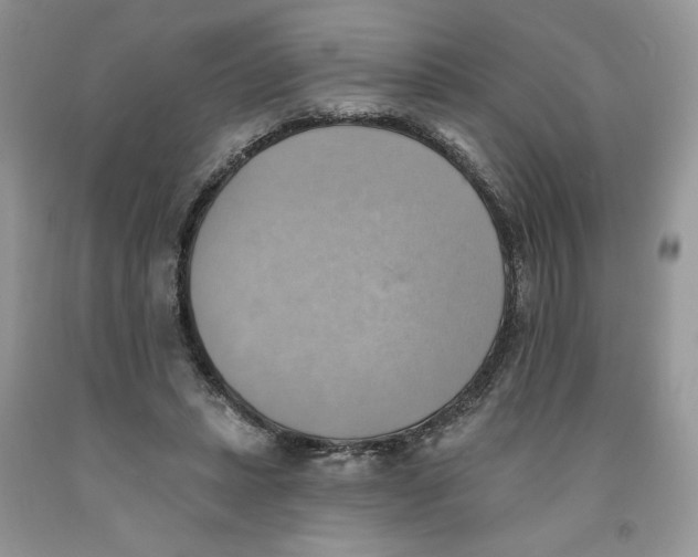 X0000091290447200709071035