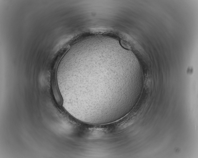 X0000091290448200709071035