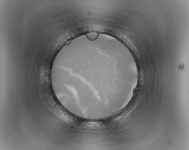 X0000091290449200709071035