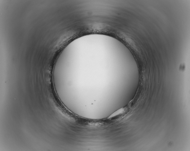 X0000091290450200709071035