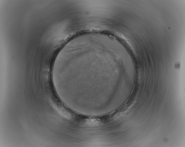 X0000091290451200709071035