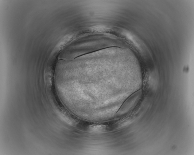 X0000091290452200709071035