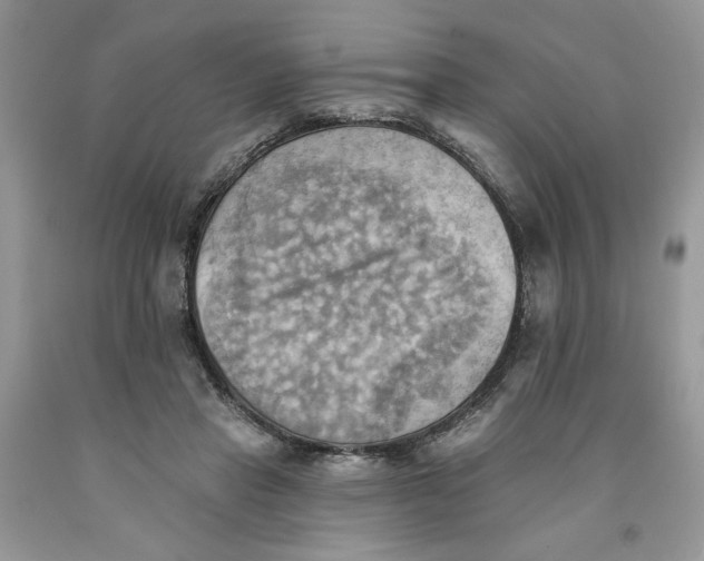 X0000091290453200709071035