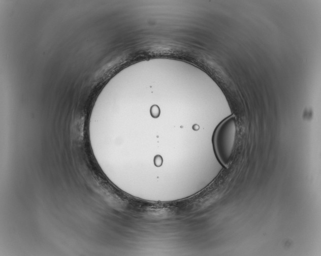 X0000091290454200709071035