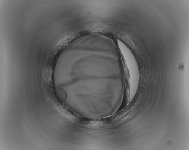 X0000091290458200709071035