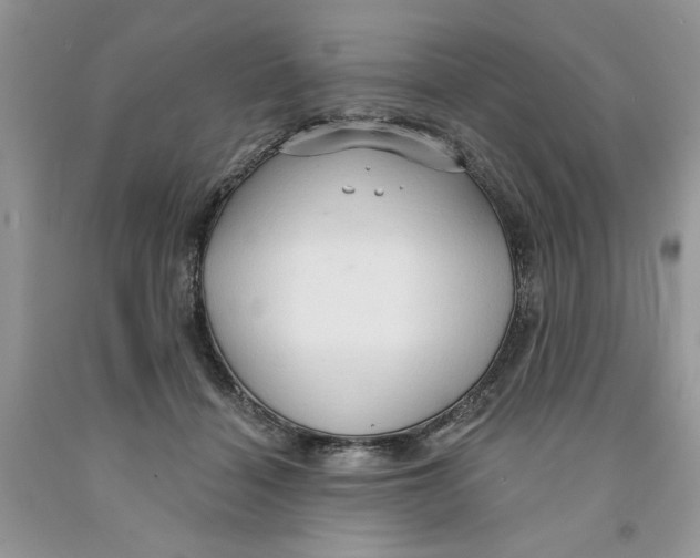 X0000091290460200709071035