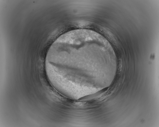 X0000091290461200709071035