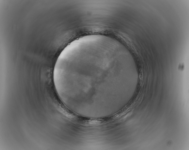 X0000091290462200709071035