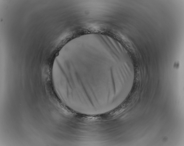 X0000091290465200709071035