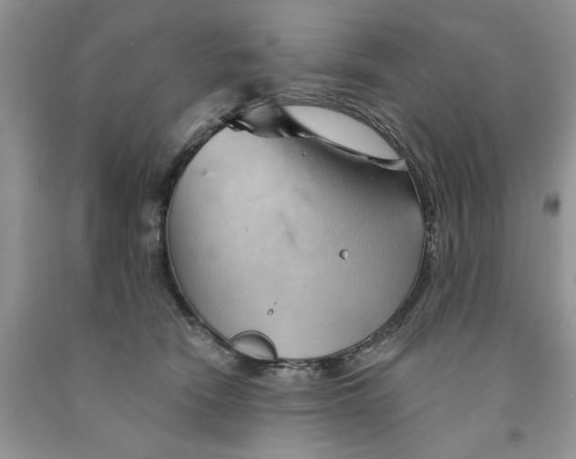 X0000091290466200709071035