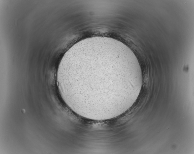 X0000091290468200709071036