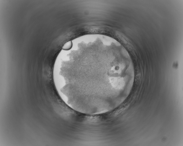 X0000091290469200709071036