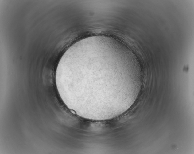 X0000091290470200709071036