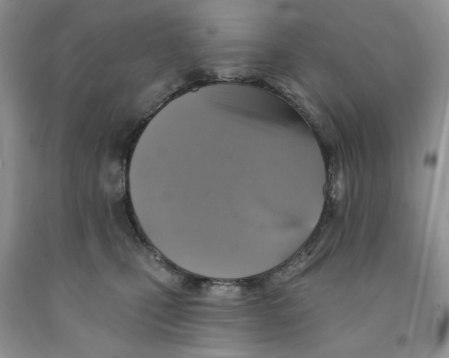 X0000091290471200709071036