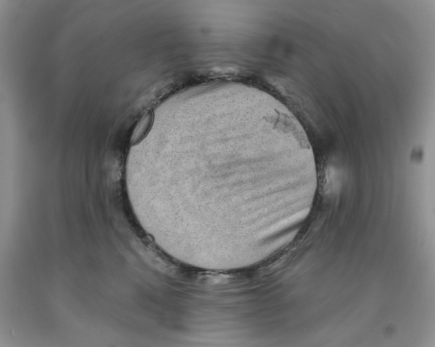 X0000091290472200709071036